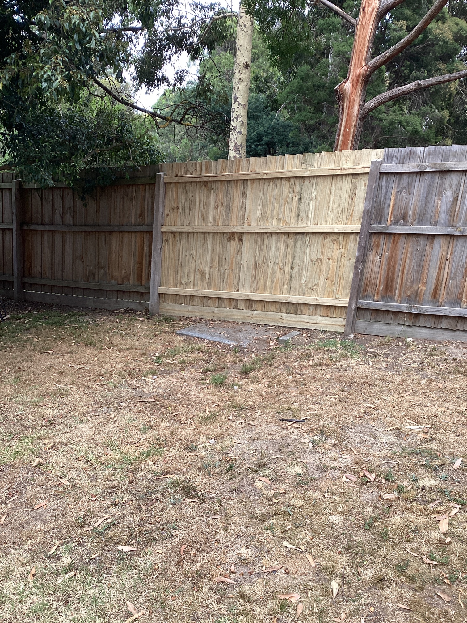 Fence repair including structural timber fixing and realignment